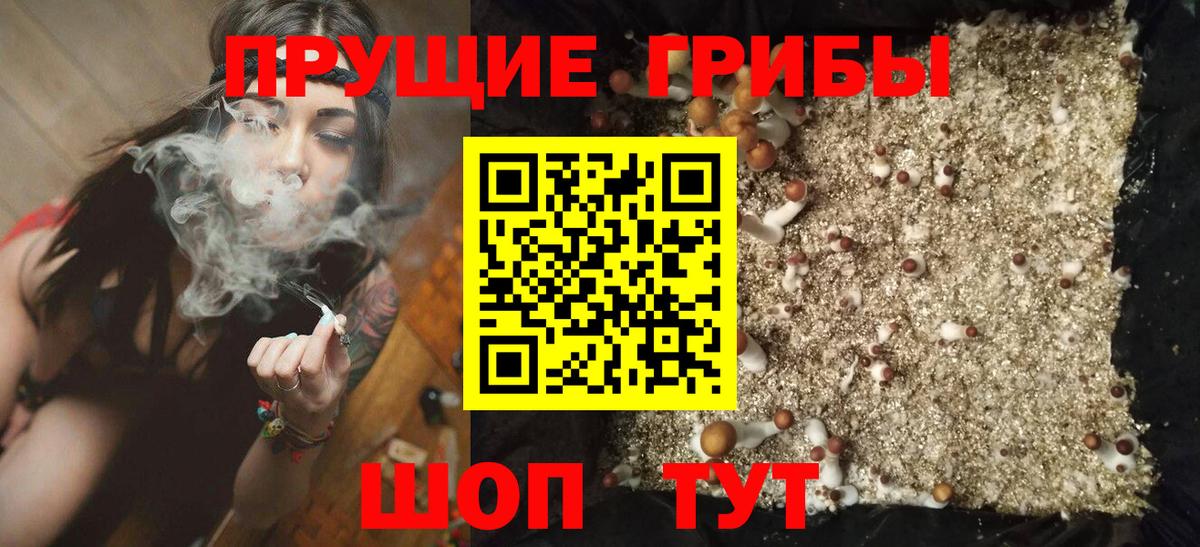 Галлюциногенные грибы GOLDEN TEACHER  Галлюциногенные грибы прущие грибы  Вход с VPN  Норильск 